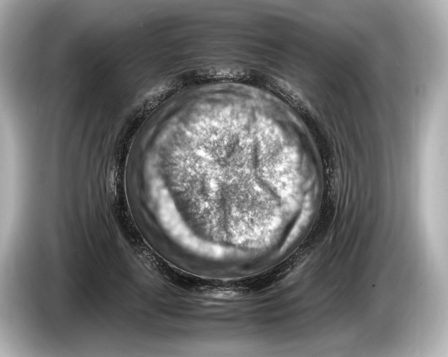 X0000085750643200704091317