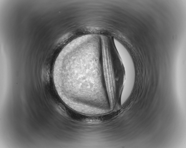 X0000085750644200704091317