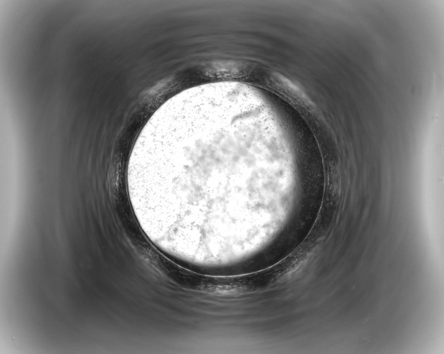 X0000085750645200704091317