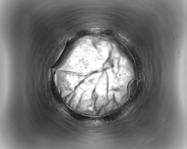 X0000085750646200704091317