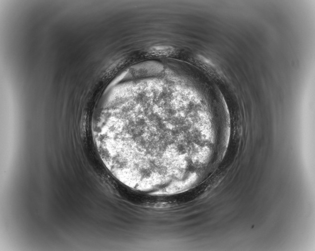 X0000085750647200704091317