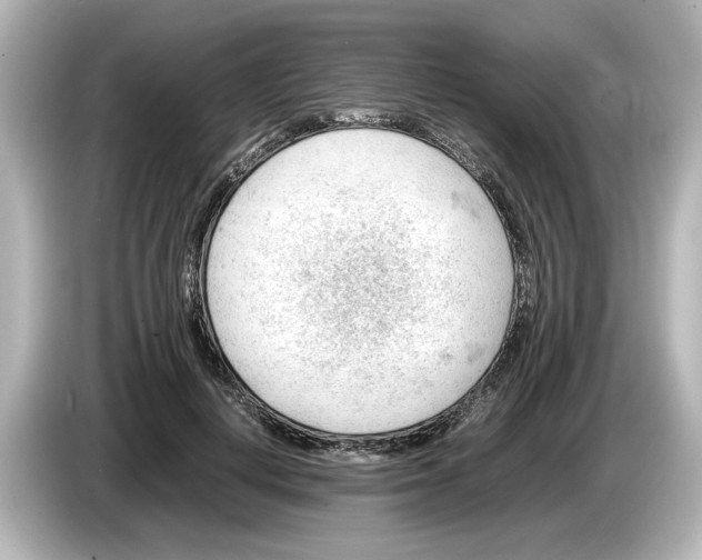 X0000085750648200704091317