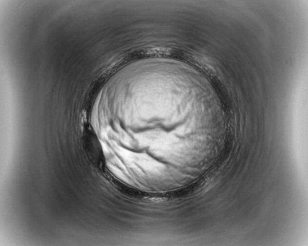 X0000085750649200704091317