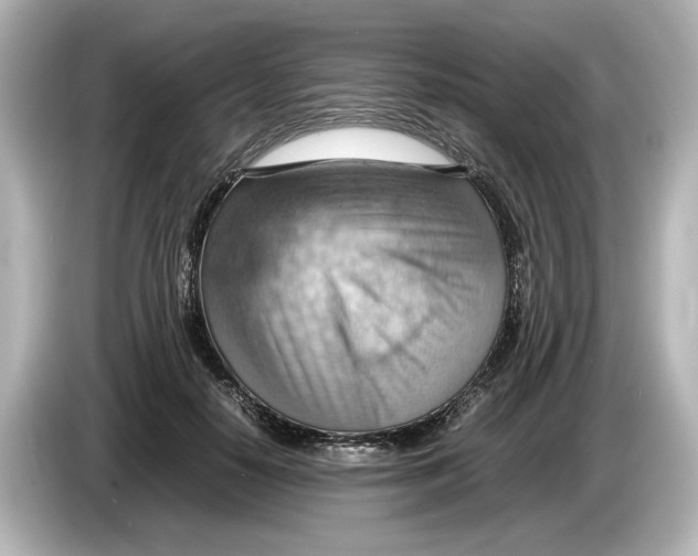 X0000085750650200704091317