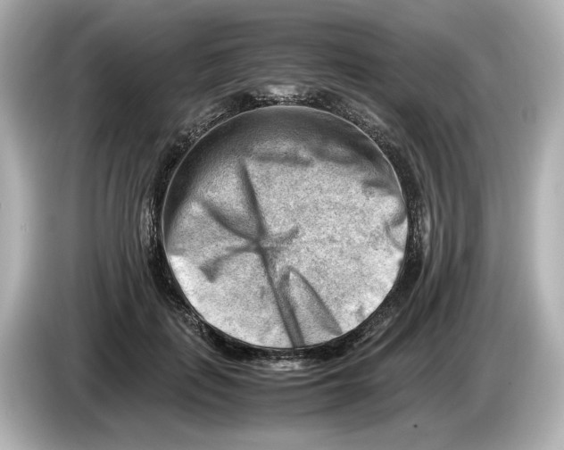 X0000085750651200704091317