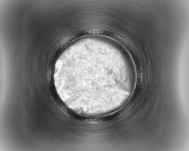 X0000085750652200704091317