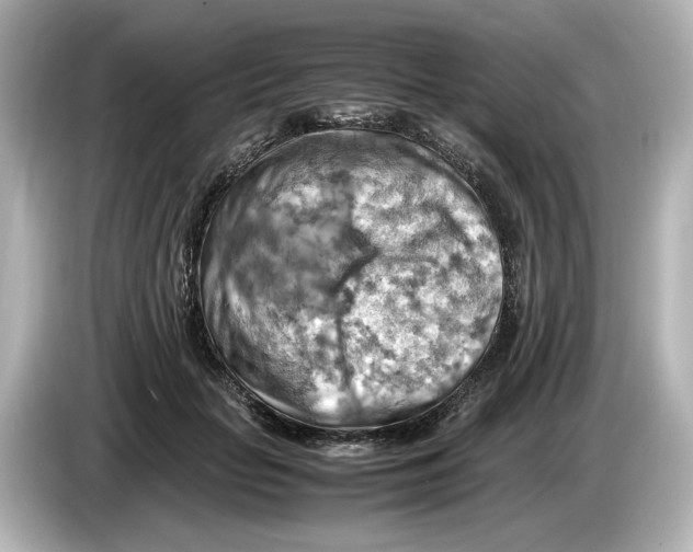 X0000085750653200704091317