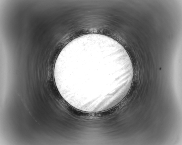 X0000085750656200704091317