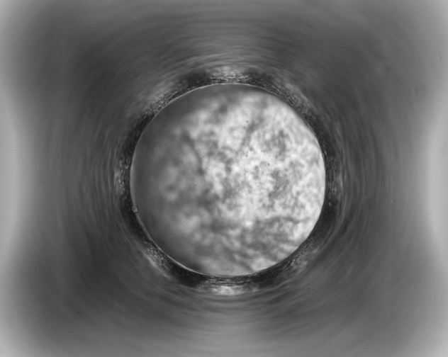 X0000085750658200704091317