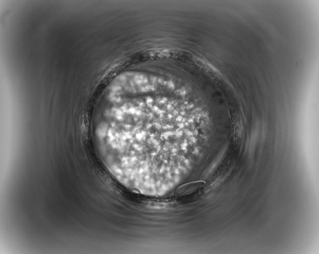 X0000085750661200704091317