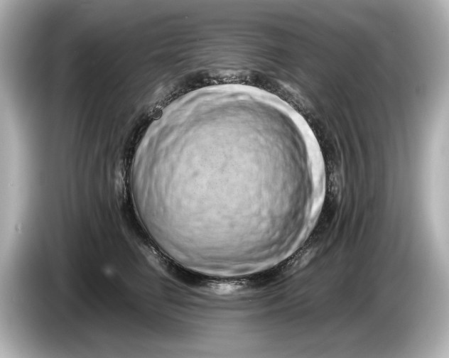 X0000085750662200704091317