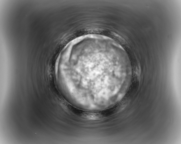 X0000085750663200704091317