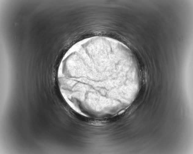 X0000085750664200704091317