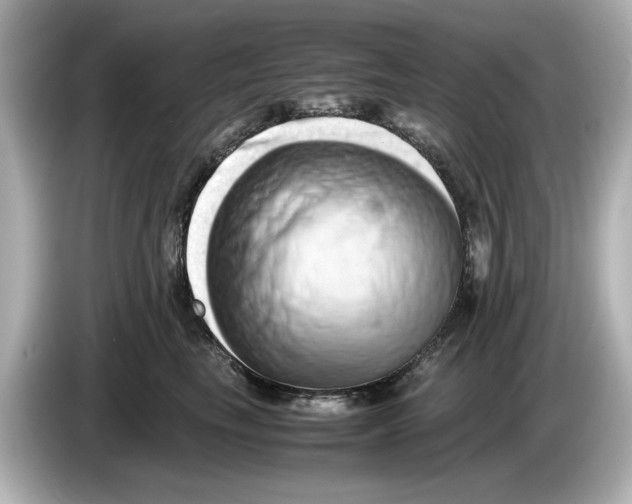 X0000085750665200704091317