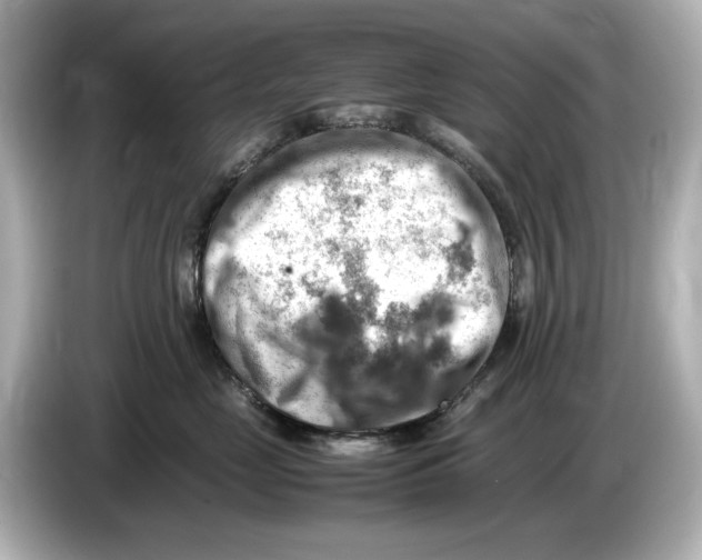 X0000085750669200704091317