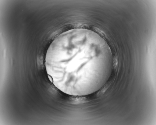 X0000085750670200704091317