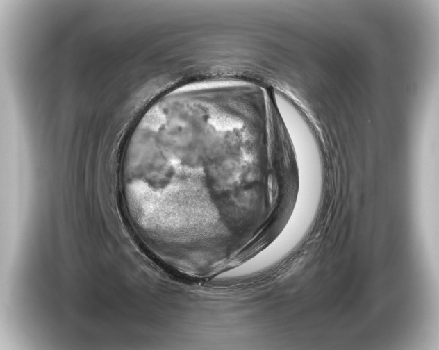 X0000085750673200704091316