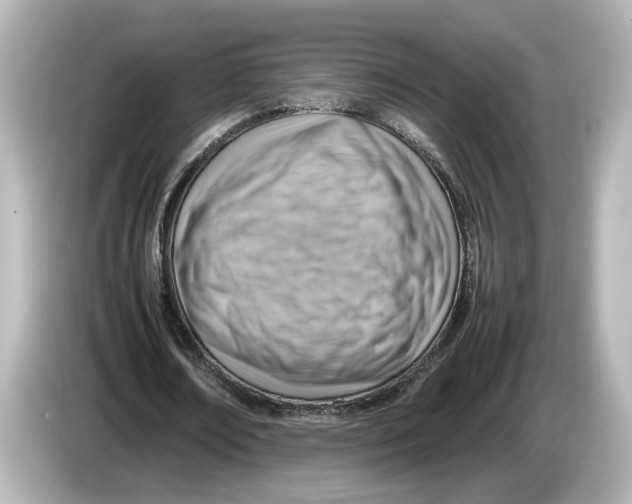 X0000085750674200704091316