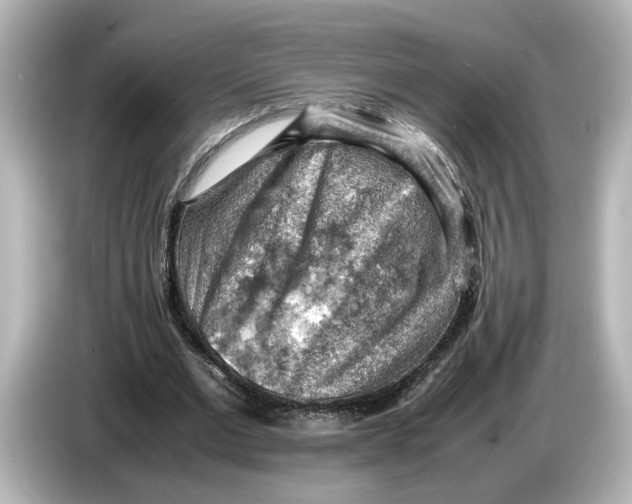 X0000085750677200704091316