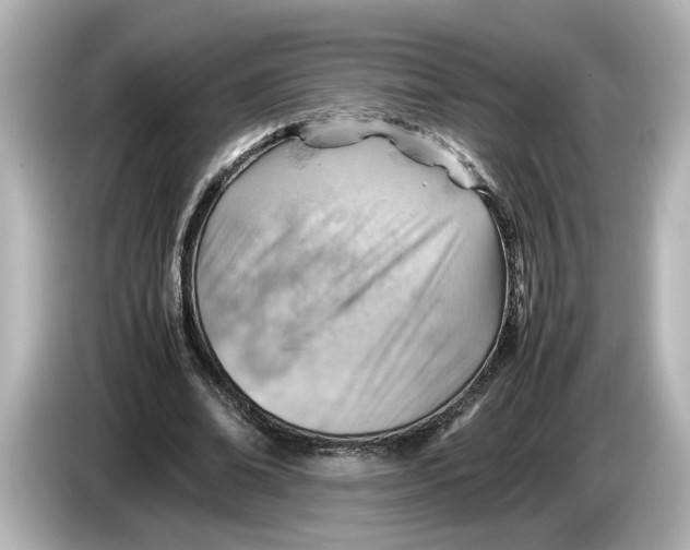 X0000085750678200704091316