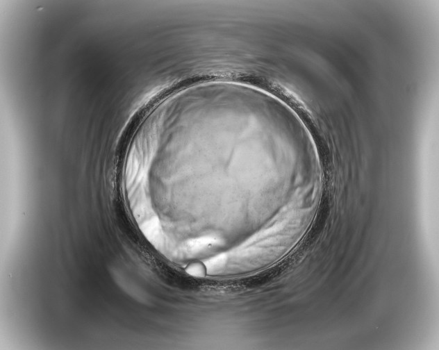 X0000085750679200704091316