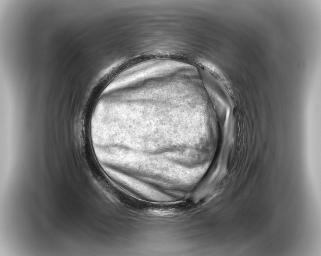 X0000085750680200704091316