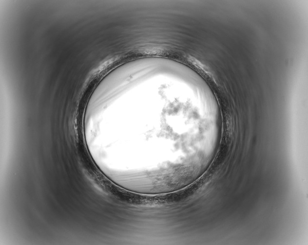 X0000085750682200704091316