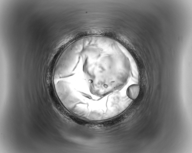 X0000085750683200704091316