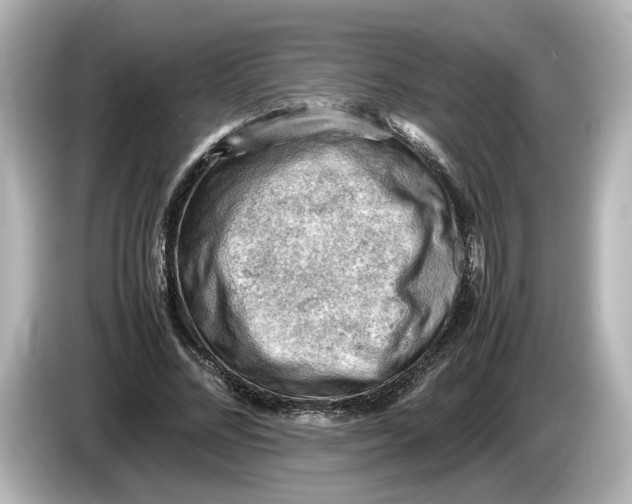 X0000085750684200704091316