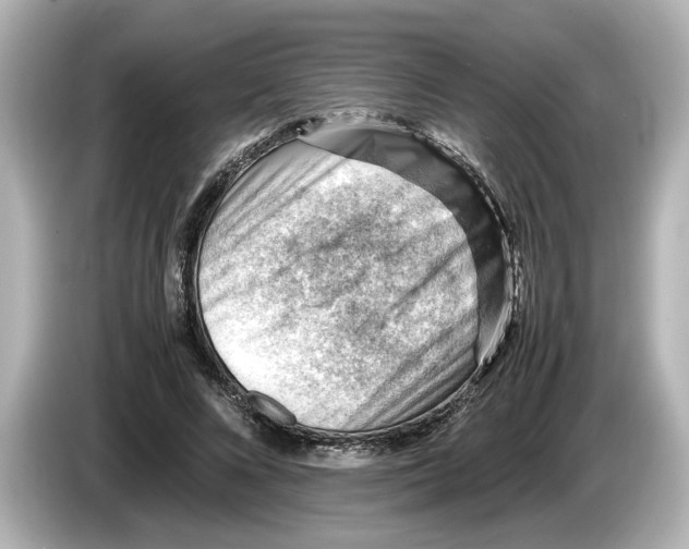 X0000085750688200704091316