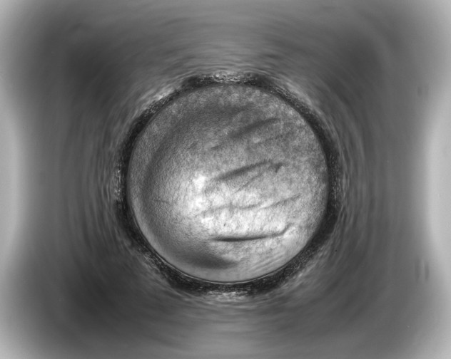 X0000085750689200704091316