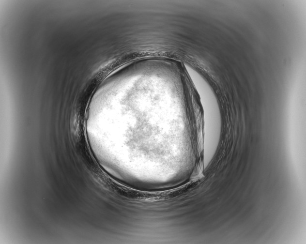 X0000085750692200704091316