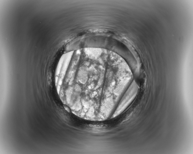 X0000085750693200704091316