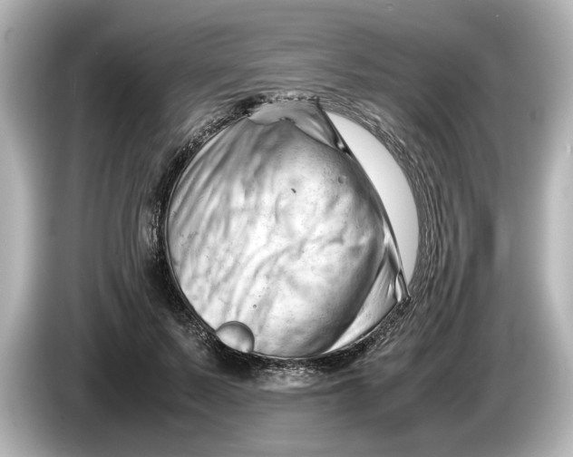 X0000085750695200704091316