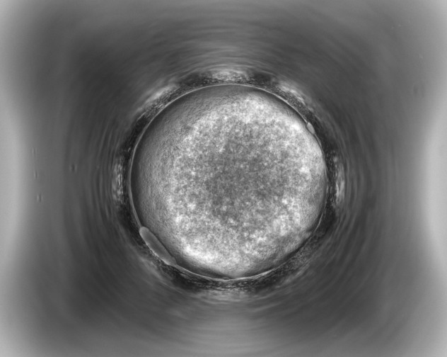 X0000085750696200704091316