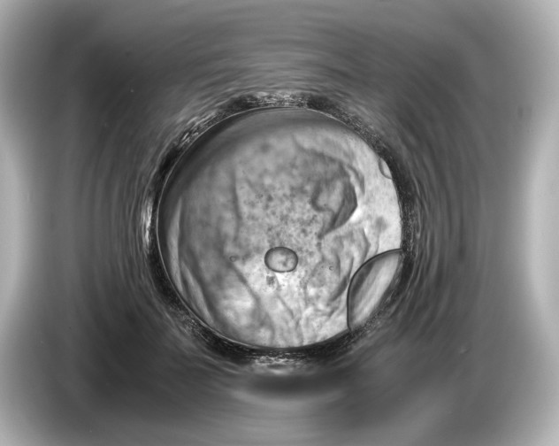 X0000085750699200704091316