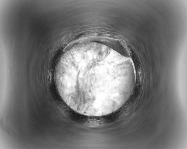 X0000085750703200704091316