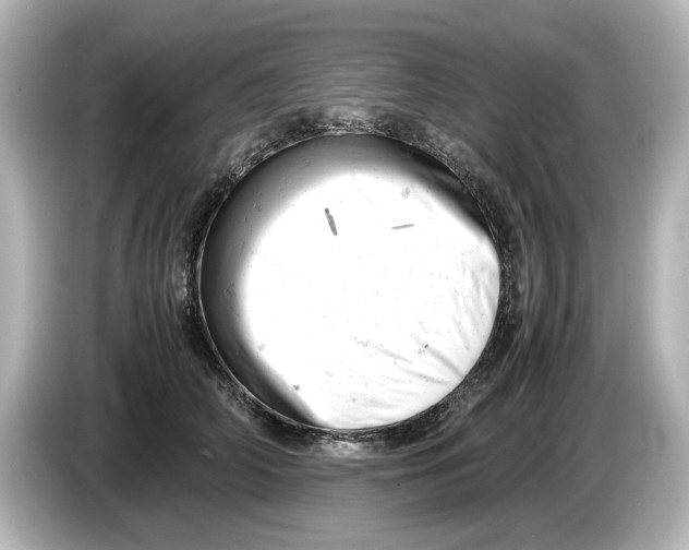 X0000085750706200704091316