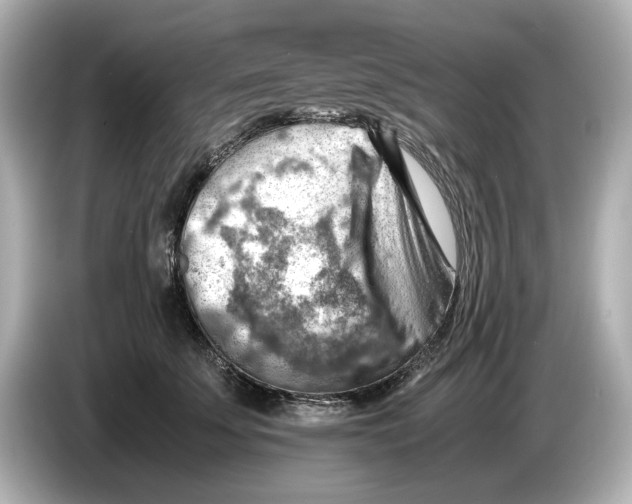 X0000085750707200704091316