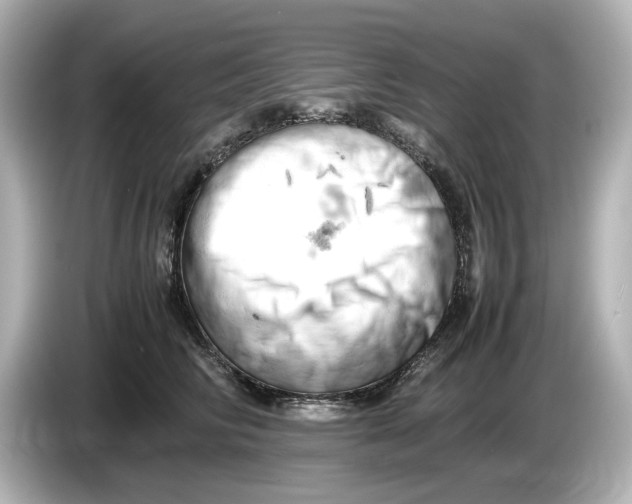 X0000085750710200704091316