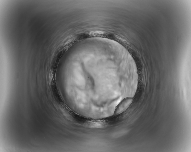 X0000085750711200704091316