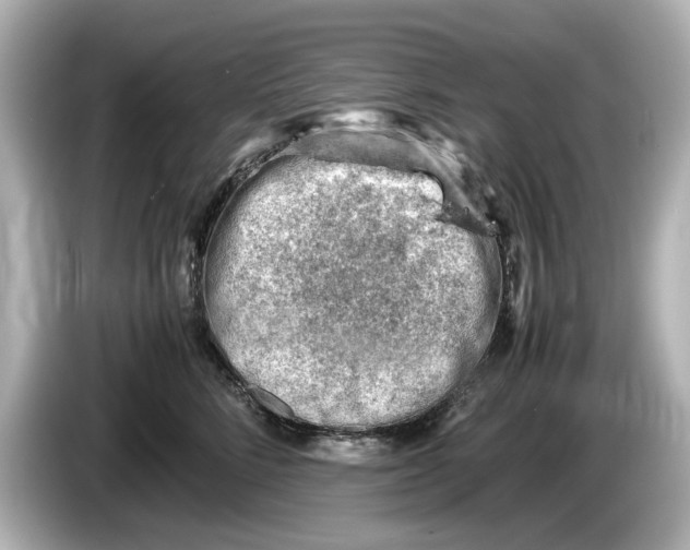 X0000085750712200704091316