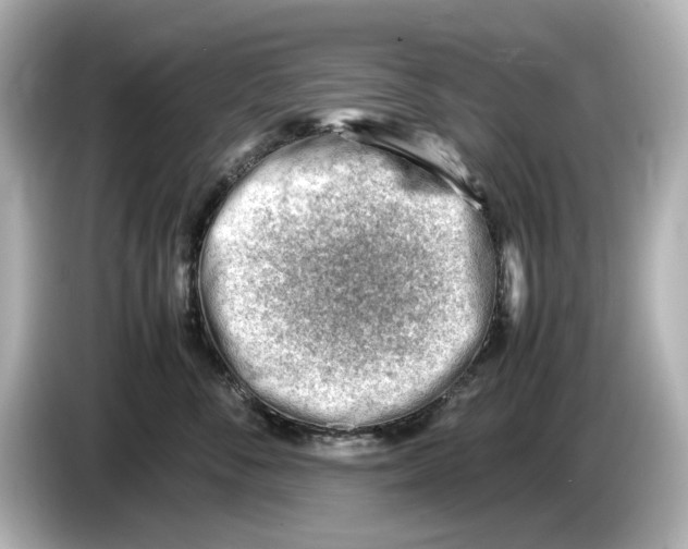 X0000085750716200704091316