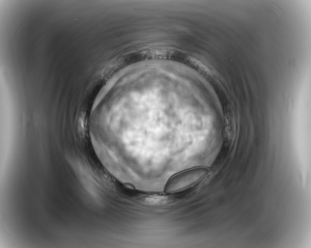 X0000085750718200704091316