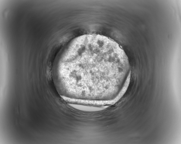 X0000085750719200704091316