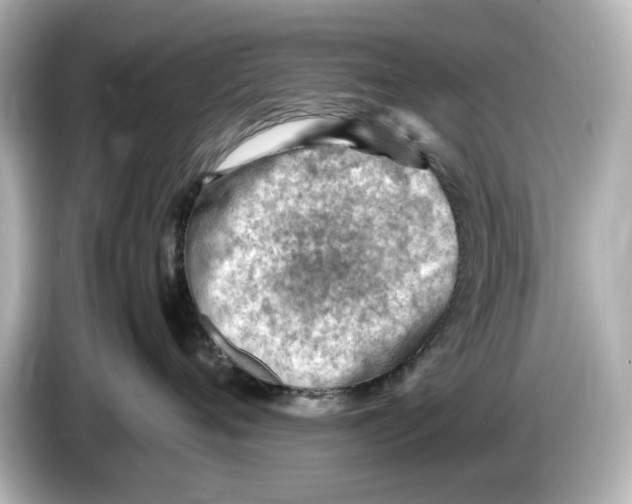 X0000085750720200704091316