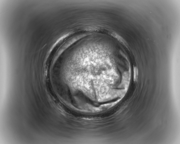 X0000085750723200704091315