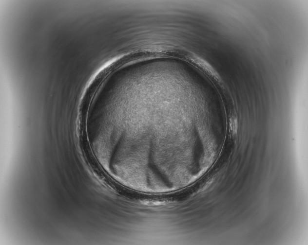 X0000085750724200704091315