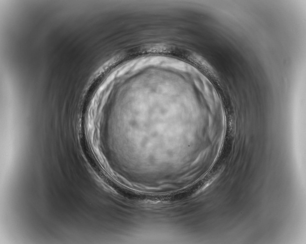 X0000085750725200704091315