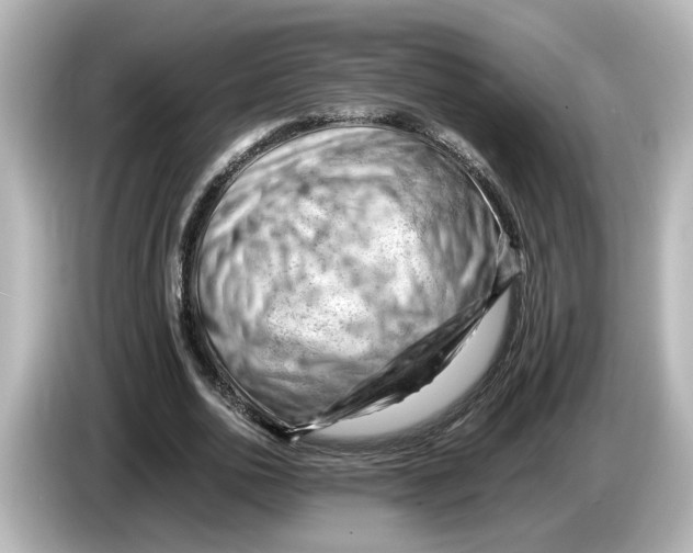 X0000085750726200704091315